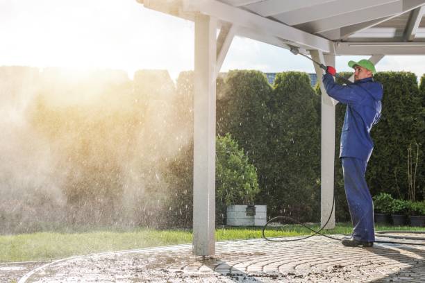 Best Sign and Awning Cleaning  in La Joya, TX